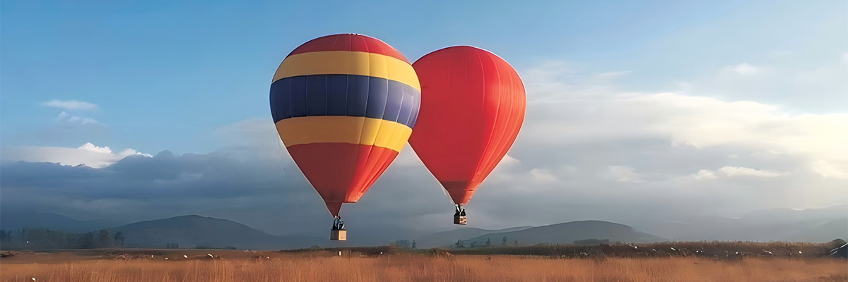 Hot air balloon